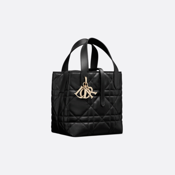 Dior Toujours